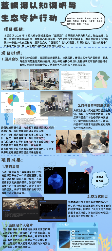 一个描述性的文本